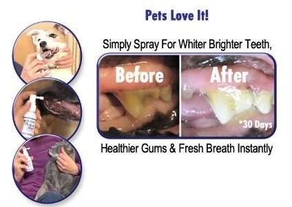 Plaque Blast Dental Spray