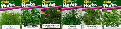 Chia Herb Garden