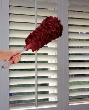 Fuzzy Feather Duster