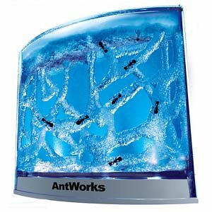 Antworks Illuminated