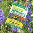 Bloom Perfect Flower Seeds