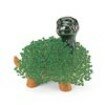 Chia Pets Dinosaur