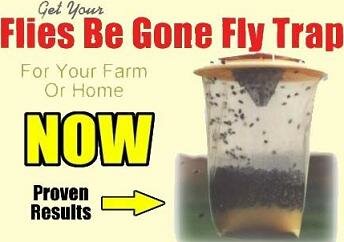 Flies Be Gone Fly Trap