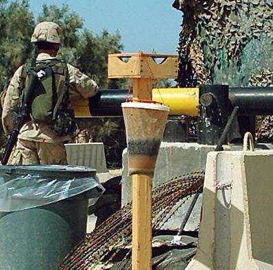 The Most Famous Fly Trap Photo in the World