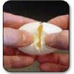 The Egg Cracker