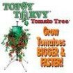 Topsy Turvy Tomato Tree
