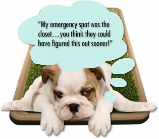 Potty Patch As Seen On TV