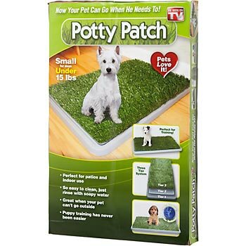 Potty Patch