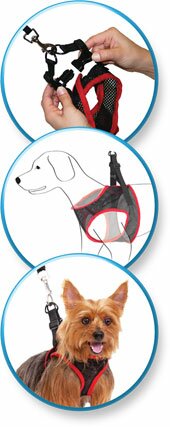 Comfy Control Dog Harness