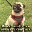 Comfy Control Dog Harness