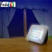 Fake TV Burglar Deterrent Device