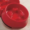 Slow ‘Em Down Pet Bowl