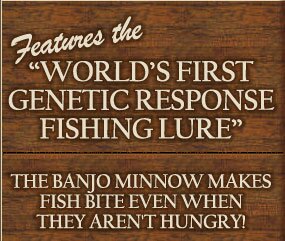 Banjo Minnows